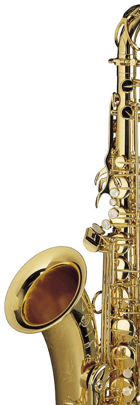 Livemusik bei Firmenfeier und Hochzeit